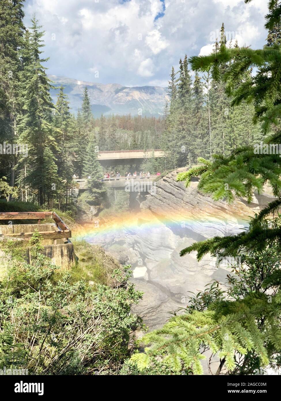 L'arcobaleno sulle formazioni rocciose circondato da abeti verdi alberi sotto il cielo nuvoloso Foto Stock