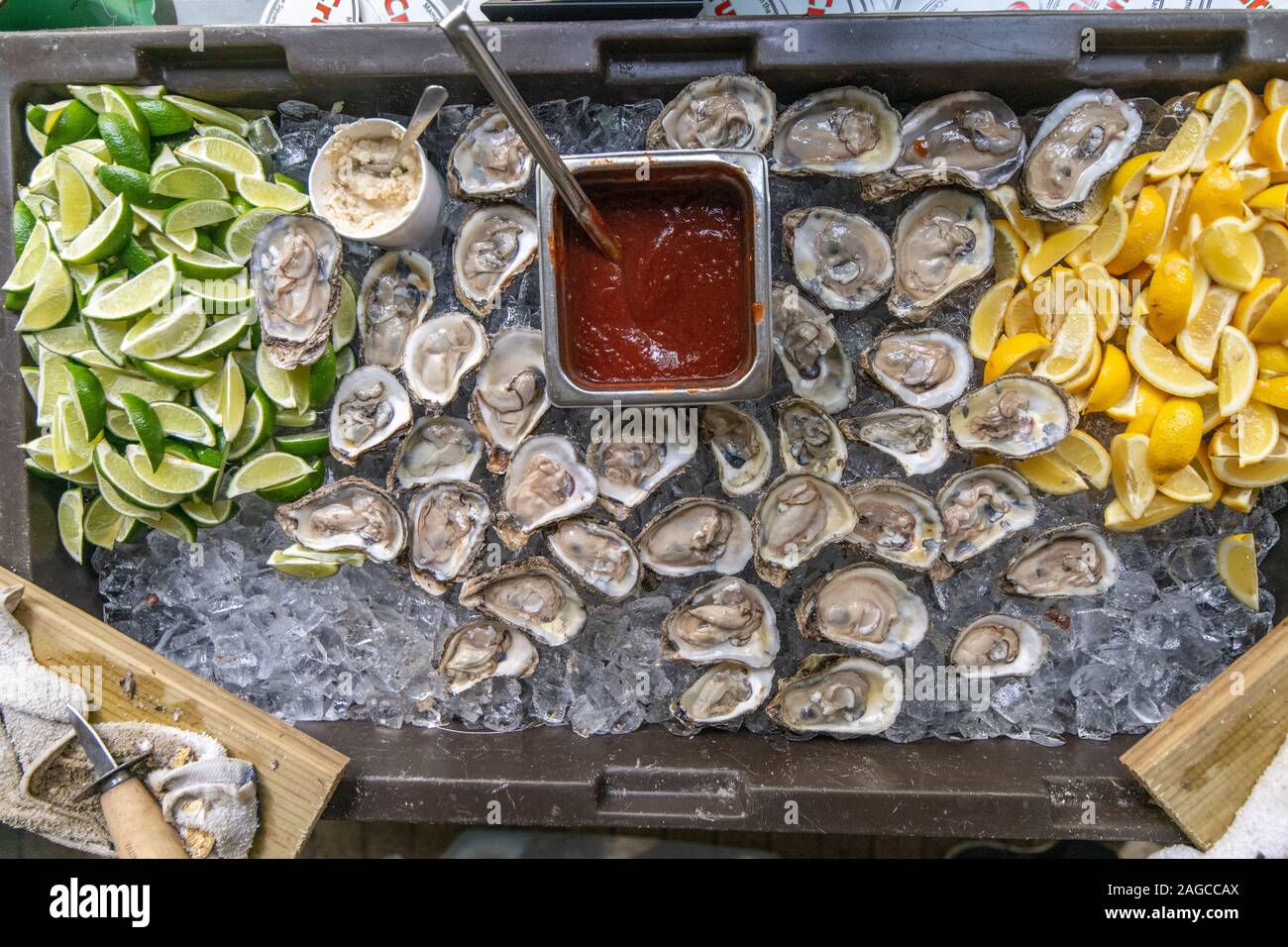 Una fresca diffusione di ostriche crude pronte per essere mangiate , Baltimora, Maryland, USA Foto Stock
