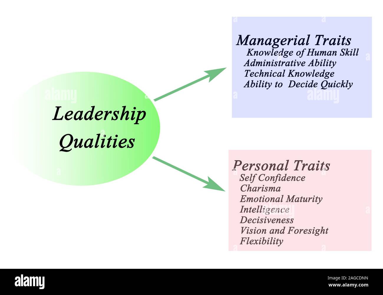 Schema della qualità di leadership Foto Stock