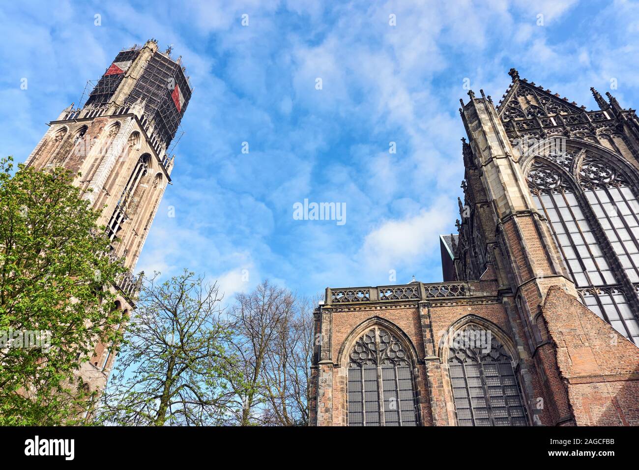 La Chiesa del Duomo e la torre di Dom in Utrecht nei Paesi Bassi. Sulla torre ponteggio a causa di lavori di restauro e di rosso bianco i colori della città di Utrecht Foto Stock