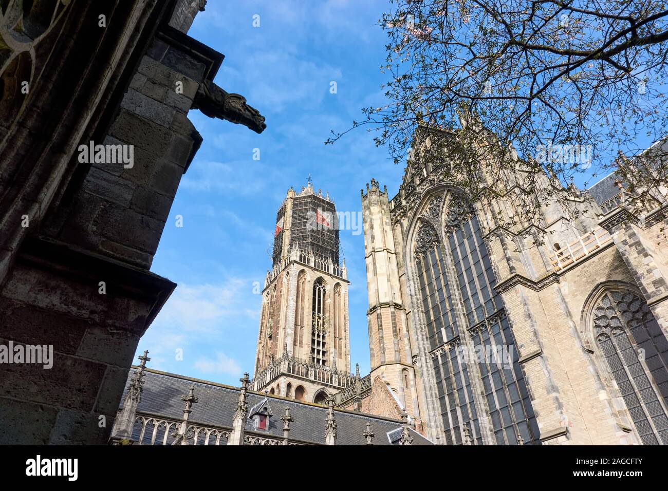 La Chiesa del Duomo e la torre di Dom in Utrecht nei Paesi Bassi. Sulla torre ponteggio a causa di lavori di restauro e di rosso bianco i colori della città di Utrecht. Foto Stock