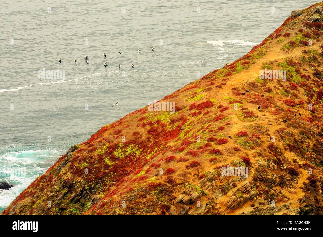 Alto angolo di ripresa delle onde oceaniche che si muovono verso la roccia Formazione sulla riva del Cile Foto Stock