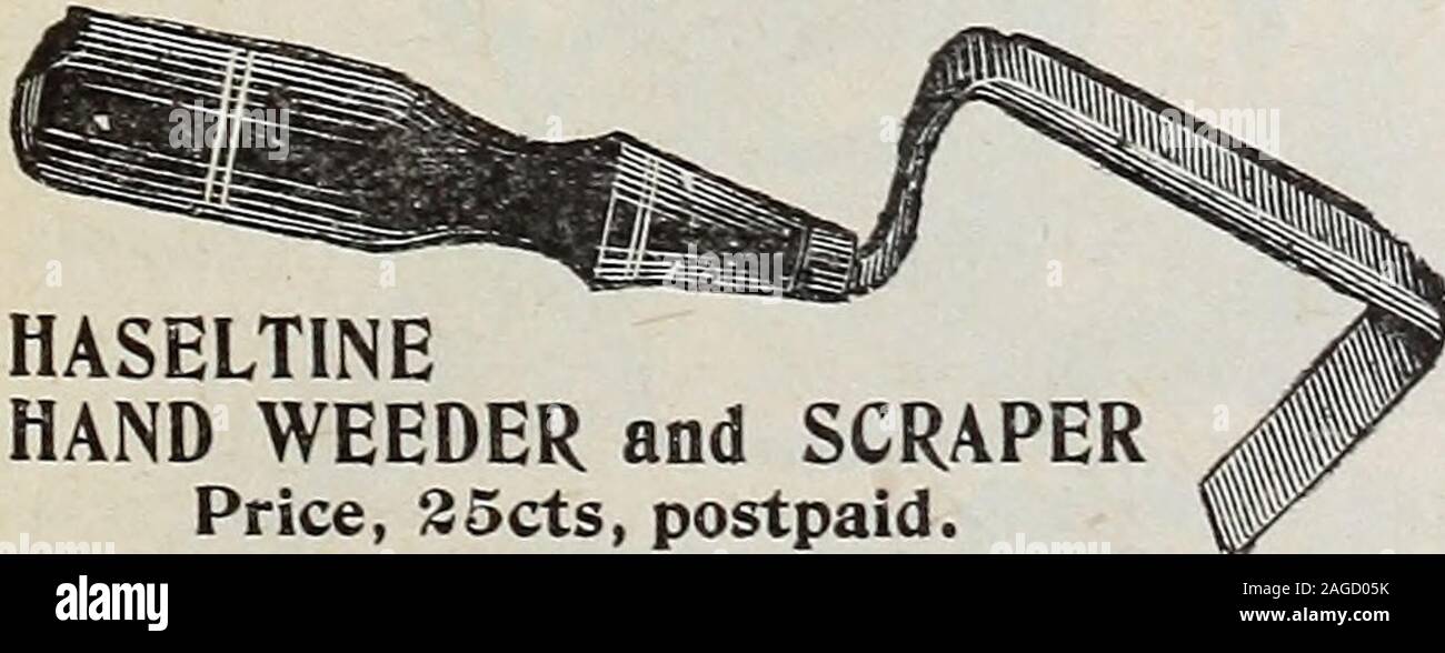 . Bulbi e sementi : autunno 1899. Mai=BREAK SOLIDO IN ACCIAIO FORGIATO giardino cazzuola. 6 pollici di lunghezza. Manico in legno duro. Superior in stile, la finitura e la qualità. Prezzo, 26cts, postpagato.. HASELTINE WEEDER a mano e SCRAPERPrice, 35cts, postpagato. Foto Stock