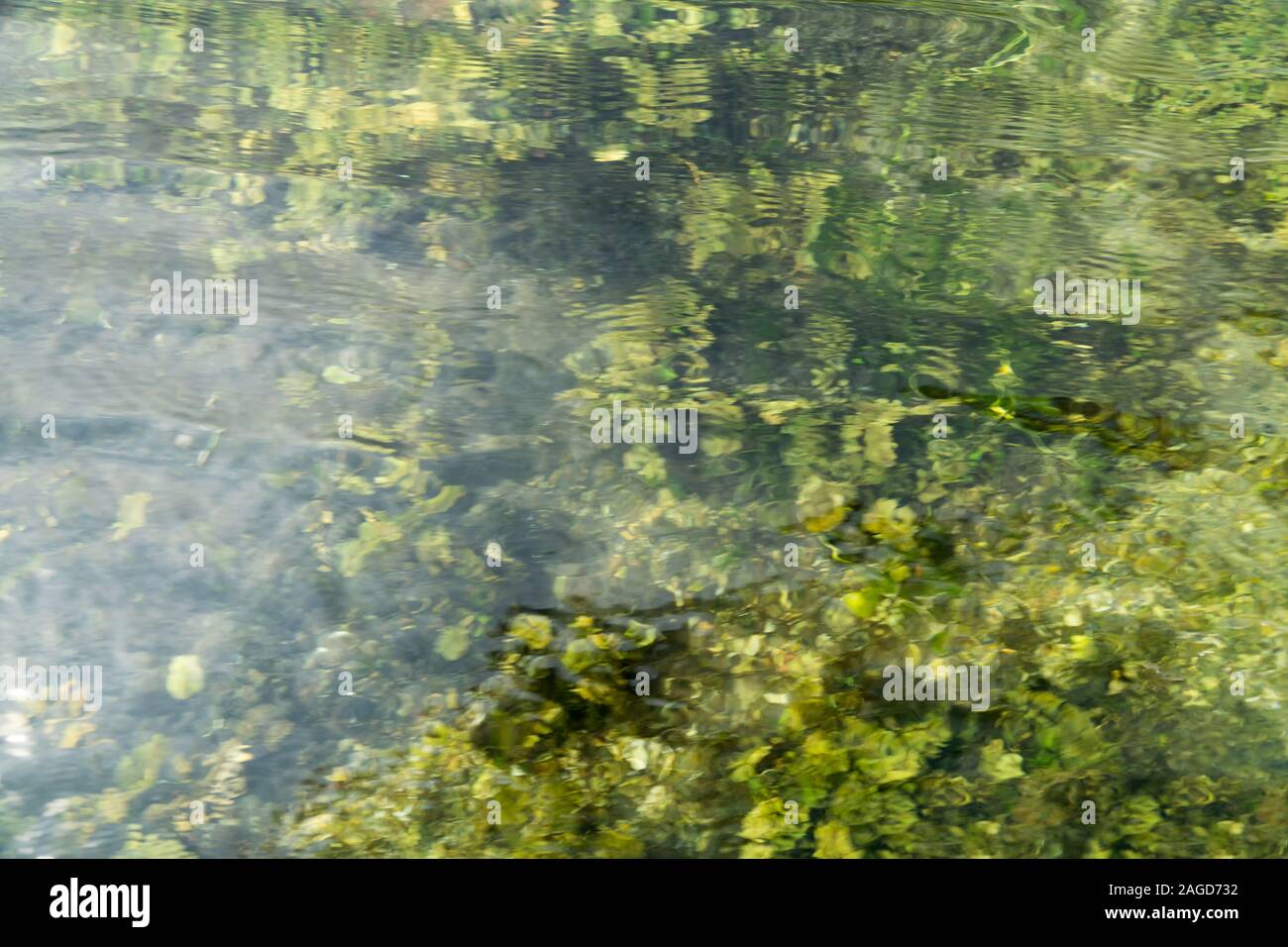 Abstract verde acqua sfondo texture. Naturale acqua increspata superficie con verde e giallo le piante di acqua sotto la superficie. Motion blure. Foto Stock