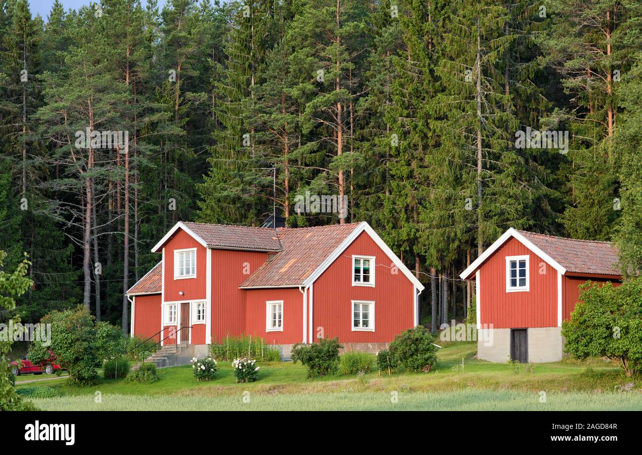 Case di legno rosso ai margini della foresta di Roslagen, Svezia Foto Stock