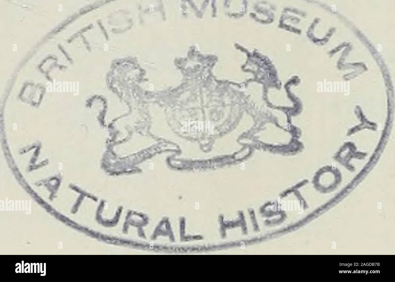 . Museo Bergens årbok. MaSSt. a7TN?fnn 9 0 0 0 0 0 0 • Karte iiber die Nordsee mit den Stationen, un welclien Hydroiden von "Micliael Sanin den Jahren 1903-1904 erbeutet sind.. Erklarung der Abbildungen un Tafel il Fig. 1 ist in 10-facher, Fig. 2 in 16-facher Vergrosserung. Die Figuren3 und 4 sind etwa 300 mal, die Figuren 5, 6 und 7 33 mal vergrossert. Fig. 1. CORYMORPHA sp. " 2. Eine Blastostyl derselben. G = Gonoforen. " 3. Eine Gonofore derselben in optischer Långsschnitt, miglior vergrossert. Ent = Entoderm, Ek = Ektoderm." 4. Quersclmitte einer Gonoforen derselben. g = anfangende Galler Foto Stock