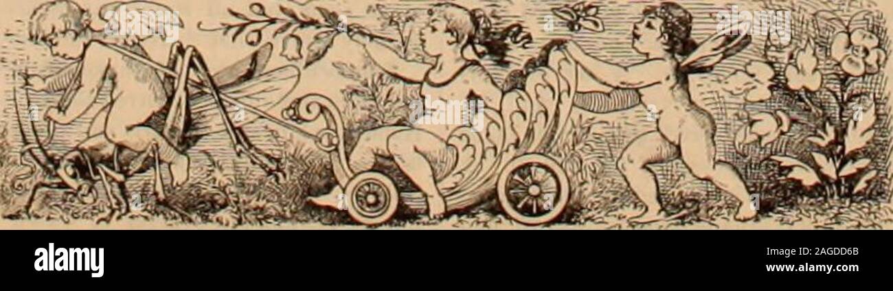 . Penman arte ufficiale e Penman's Gazette. enian. H-O. W. Hurmau, A. H. Hiuiiian, S. A. D.Hahn, H. A. Howard. Ho-E. K. Isaacs. J-J. W. Jones. K-H. W. kibbe. L. M. Kelchnei-. KnappRightmyer. L-E. B. Leland. M-M. B. Moore, D. L. Mosseliiian, U. H.Mortland, C. C. Maring, Uria McKee. J. C.Miller. N-Anua Ninton H-E. H Robins, A. T. Reynoltls. 8-J. L. Stubbs, schierando Srofiolil, A. H.Steadman, Lyman P. Spencer, H. V. Shaylor,Piatt R. Spencer, Jr., Giovanni Heddoii. V-J. W. Van de Venter. W-John D. Williams, J. A. WESCO. T. T.Wilson. S. R. Webster, Eleaser Wigan, B. F-Williams. Z-C. P. Zaner. In tutti i t Foto Stock