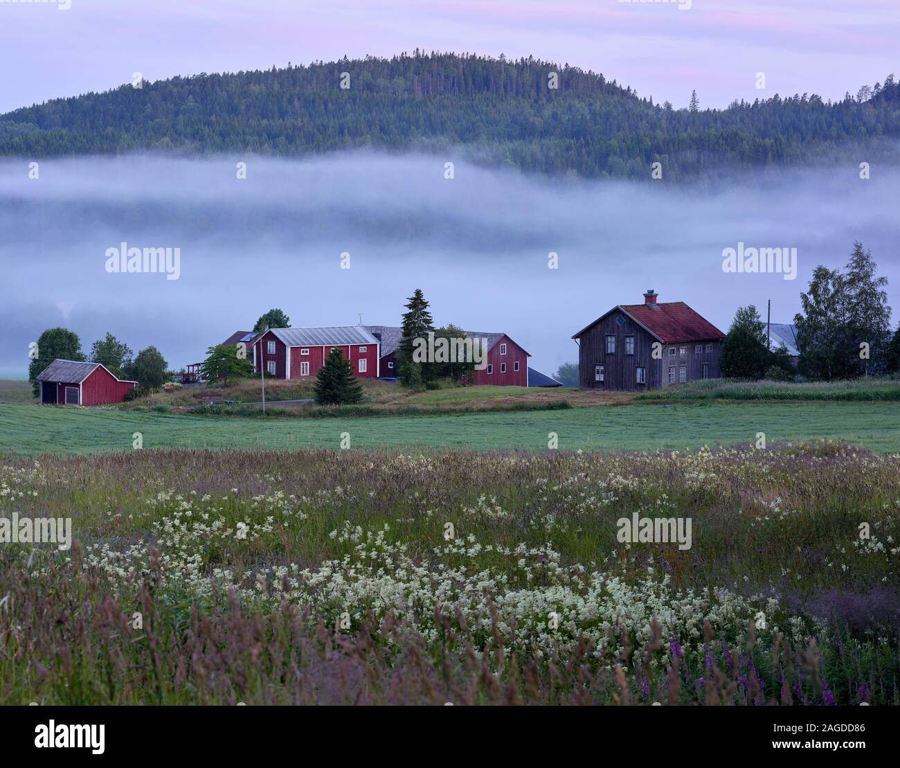 Nebbia in una valle dietro un idillio di casa a Höga Kusten (alta costa), Svezia Foto Stock