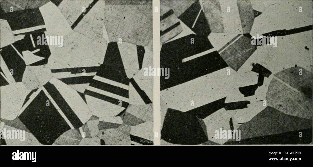 . Le transazioni. Brin. 46.4, fZ= 0.186 MM. 750° C. si ricombinano Brix. 40.4, &LT;l= 0,161 mm. Brin. 43.1, d= 0,230 mm. S00° C. .si ricombinano Brin. 44.1, d= 0,234 mm. Foto Stock