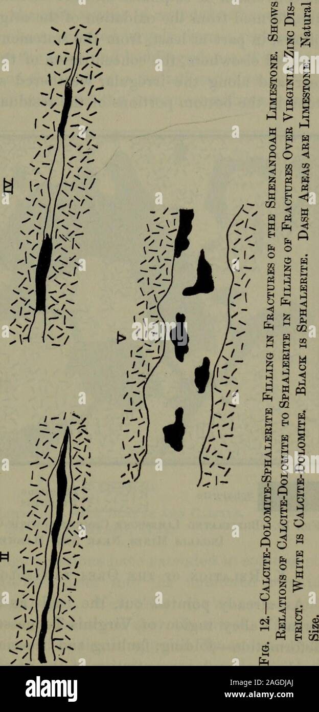 . Transazioni. produrre la precipitazione. Pirite sufficiente nel calcare waslacking per precipitare di zinco e piombo come solfuri da loro oxi-dized sali; ma solfuro di zinco come la blenda era presente in luoghi 704 PIOMBO E ZINCO-DEPOSITI VIRGINIA-TENNESSEE REGIONE. in quantità sufficiente per avere fatto precipitare i sali di piombo come sul-phide, aveva le condizioni di stato favorevole al subsequentdownward acque di circolazione. (3) condizioni favorevoli lacoppia di conversione dei solfati in carbonati e silicati ofzinc, formato dall'ossidazione del solfuro di originale. Thisfollows, almeno in parte, Fro Foto Stock