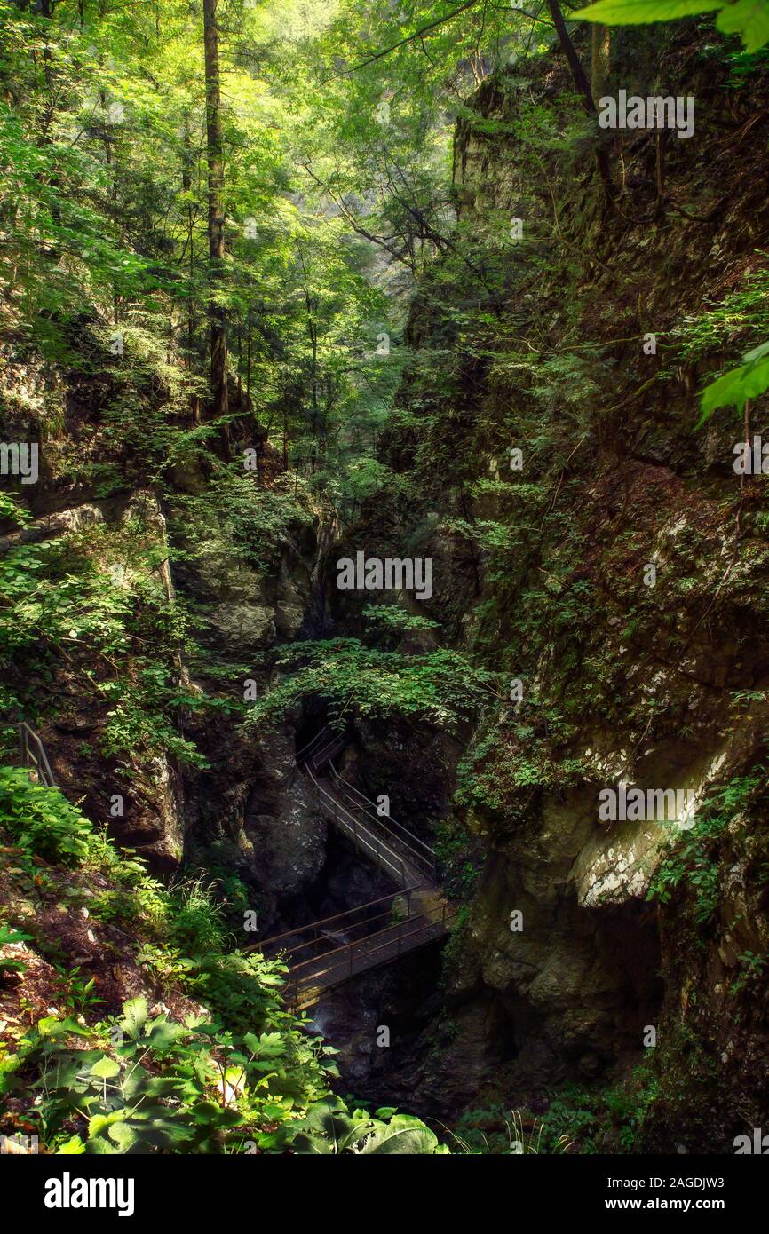 Ad alto angolo di un ponte circondato da rocce e. Verde nel Parco del Diavolo in Croazia Foto Stock