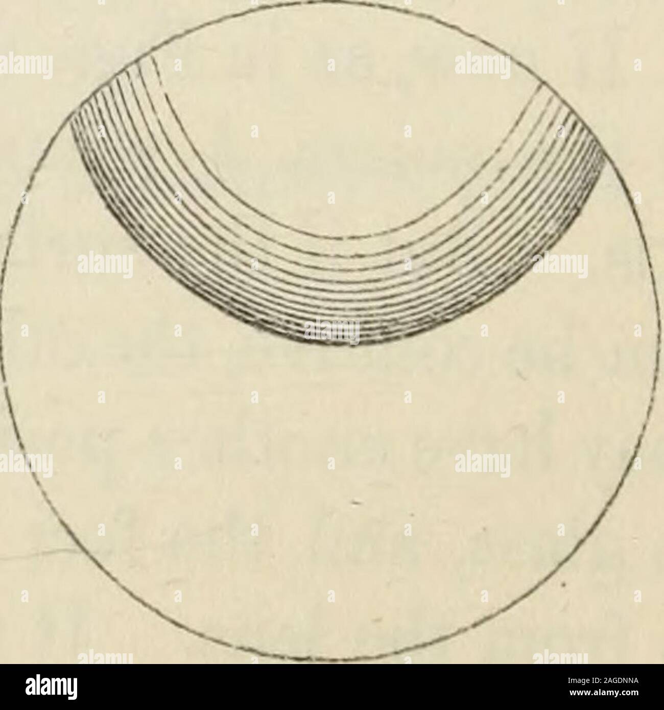 . Per le anomalie di alloggi e di rifrazione dell'occhio, conun saggio preliminare su dioptrice fisiologica. ocal distanza nelle superior e parti inferiori. Franklin era leggermente miope e aveva scarso potere di alloggio; per vedere a distanza ha avuto bisogno di negativo, per vedere in prossimità di oggetti che aveva bisogno di occhiali positivo. Ora, guardando in prossimità di oggetti guardiamo attraverso la parte inferiore, guardando a una distanza guardiamo attraverso la metà superiore dello spettacolo occhiali, ha combinato di due metà, quella di un negativo, l'altra positiva di un vetro, girato la metà negativa verso l'alto, th Foto Stock