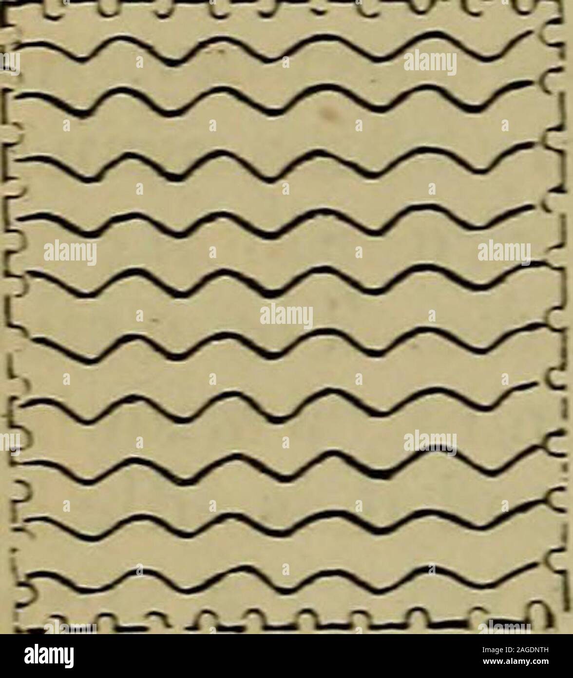 . Il timbro di Collector's Magazine. -Tariffa è dovuta al fatto thathis incisori potrebbe notsee a vantaggio, em. Moens stesso admitsthat è difficilmente visibile e che egli hasheard dubbi espressi in merito alla sua presenza.a titolo di conferma dice che egli findsthe stesso watermark, che gli appare tobe piuttosto una sorta di rete di una serie di linee ofundulating, su tutti il nuovo telegraphstamps. Vfe per parte nostra non hanno avuto lainserzionista di esaminare qualsiasi recente copiesof i due francobolli che egli menziona, butwe hanno reso un più attento controllo oftheir telegrafico di fratelli e deve confesswe f Foto Stock
