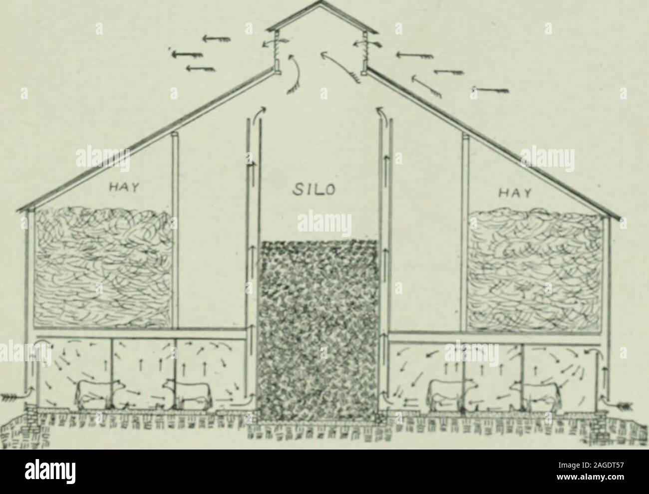 La ventilazione per abitazioni, scuole rurali e stalle. Fig. 51.-primo  fienile in cui il re sistema di ventilazione era in fase di stallo, nel  1889. trally situato nella porzione più caldi