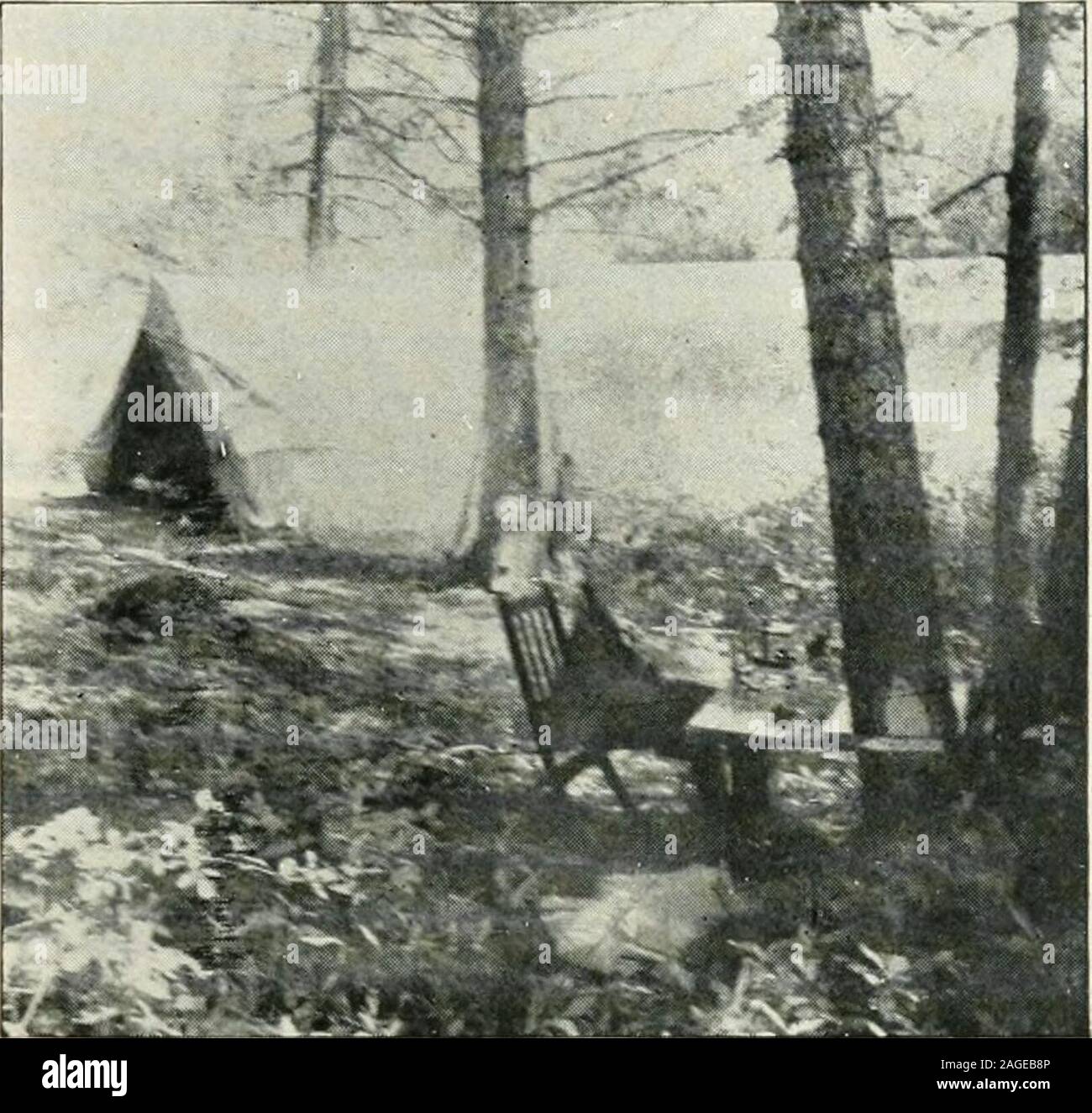 . Journal of applied microscopia e metodi di laboratorio. la montagna, con picchi elevati su tutti i lati tranne l'Occidente,che è dammed su un vecchio di morene, anche se si è di recente origine geologica. Una vista generale del camp a Sin-yale-a-min lago è dato in Fig. 1. Theparty a questo luogo, tutto sommato, numerate ventuno, e con una o due exceptionsall erano impegnati in alcuni lavori. Questo lago si trova a circa quindici chilometri dal vicino punto di est sulla Northern Pacific Railroad ed è in Indiana Flathead reserva-zione. È quindi in modo primitivo romantica e selvaggia. Il lavoro sul lago era accomplishe Foto Stock