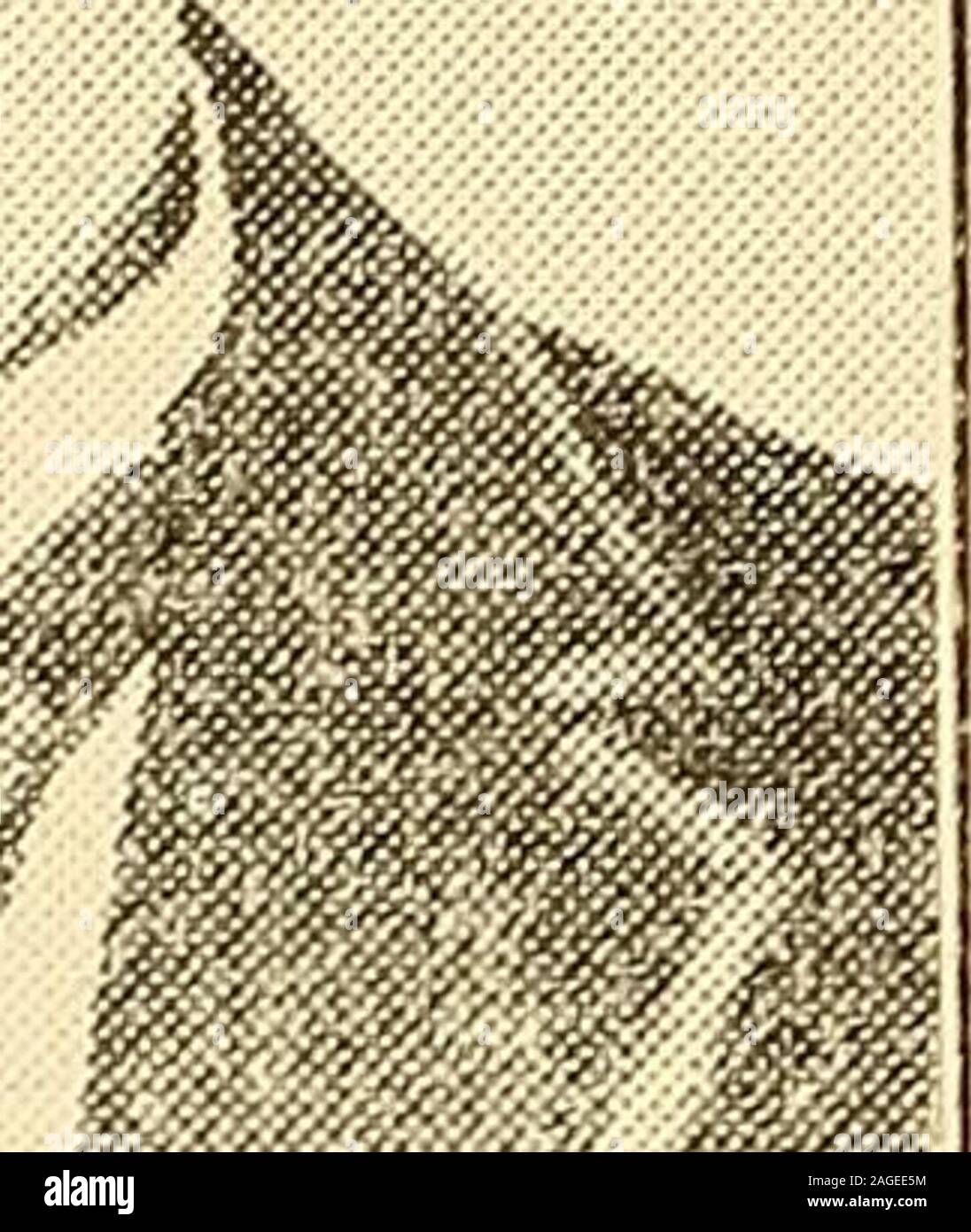 . La storia del Monte unione, Shirleysburg e Shirley Township. JOHN DOlGLAS, uno dei prom-inent residenti di Shirleysburg, wasborn vicino a quella città il Agosto 17, 1846.Il suo - padri nome Samuele Avas andhis nonno, John Douglas, wasone della primitiva coloni in thattown. Il nonno è venuto fromIreland, e si stabilì prima a TyroneForges. Là egli è venuto a Shirleys-Burg. .John Douglas ha risieduto in ingressoe in vicino Shirleysburg tutta la sua vita.Egli era di 1,5 anni addetta al theCounty Home. Egli sposò Avas onOct. 26, 1908, a perdere Annie Brandt.Il sig. Douglas è un presbiteriano anElder e. Suo padre e sua grandf Foto Stock