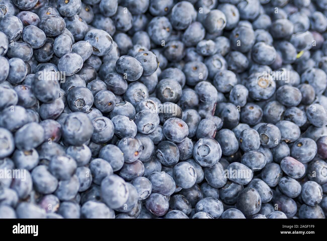 Ai mirtilli freschi. Vista dall'alto. Concetto di sana Dieta e mangiare. Foto Stock