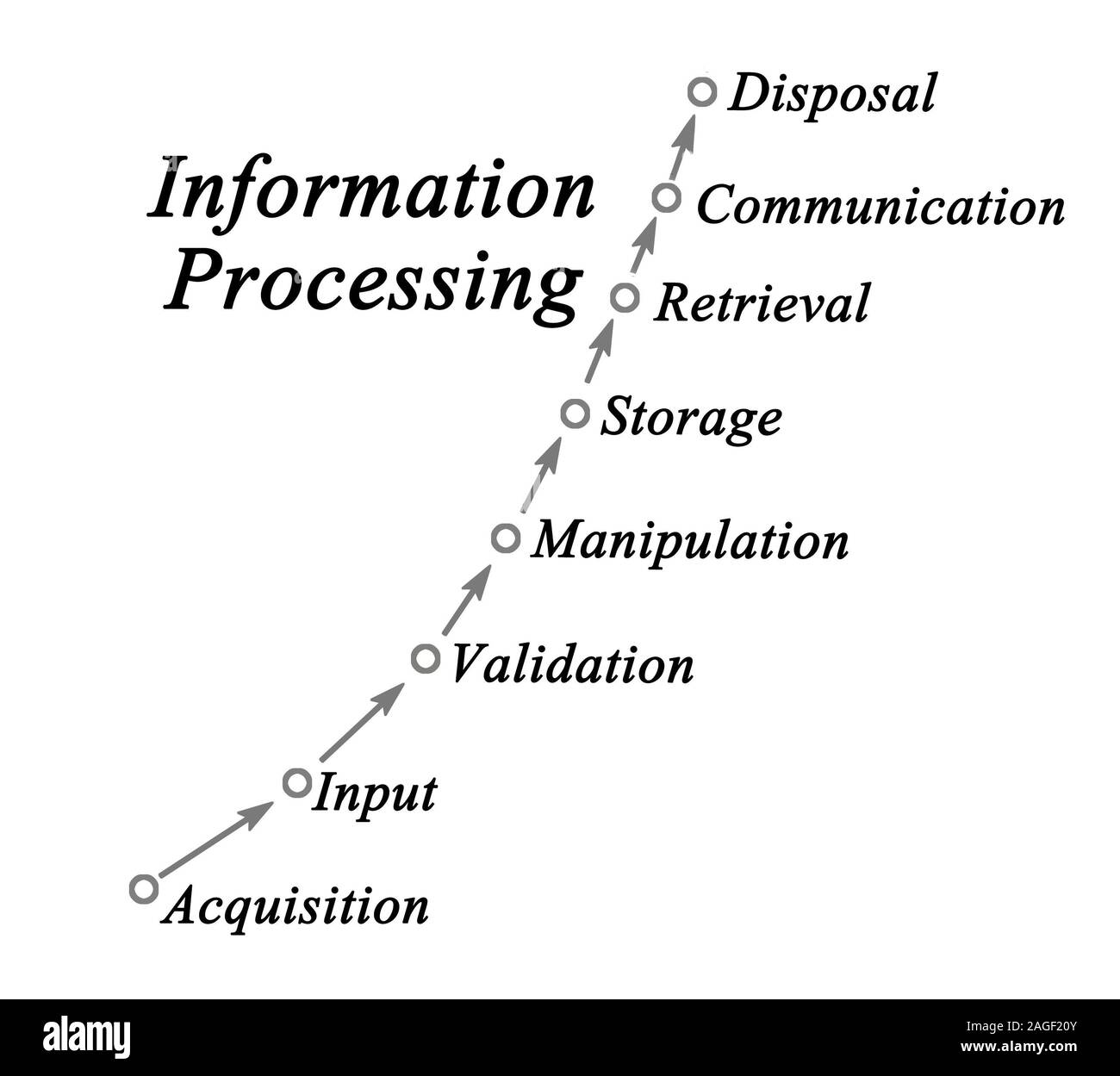 Elaborazione delle informazioni Foto Stock