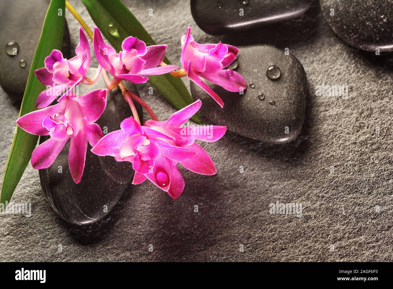 Pietre calde con orchid sull'ardesia Foto Stock