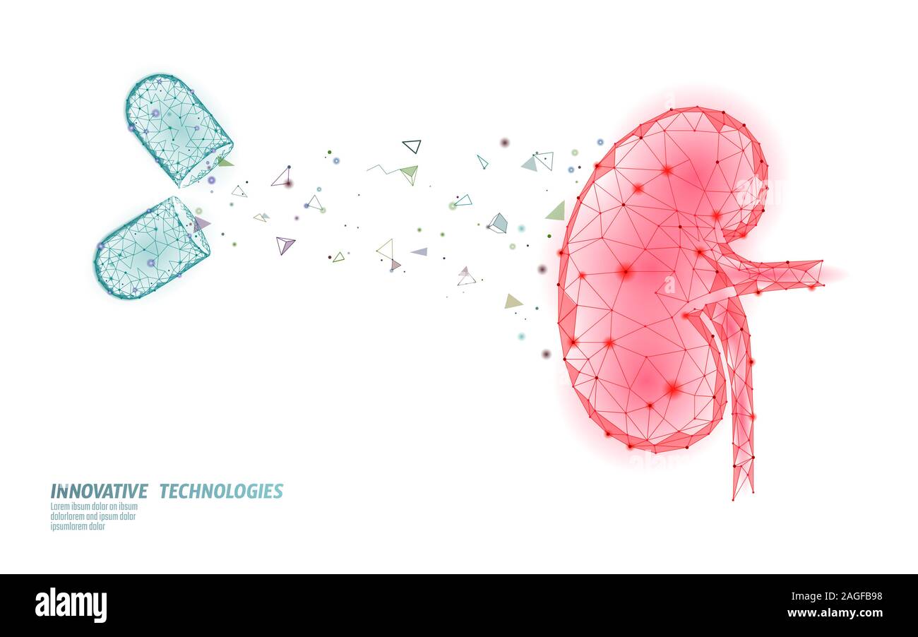 Reni umani medicina concetto di trattamento. Aiuto medico trattamenti di terapia. Il sistema urinario il cancro addome prevenzione modello di poster. Farmacia pillola 3D Illustrazione Vettoriale