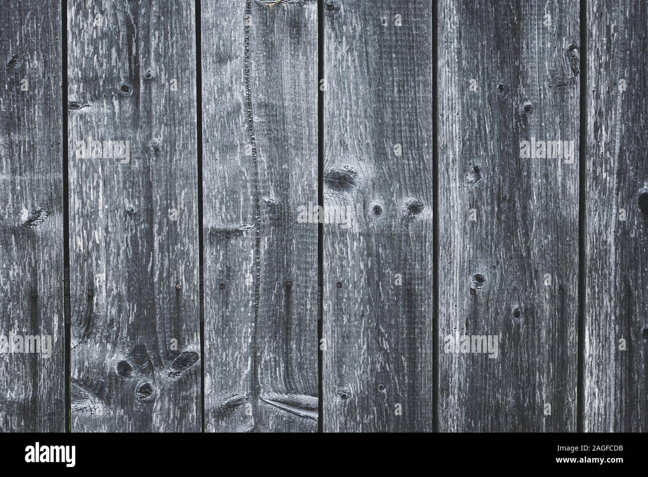 Grigio scuro recinzione di legno. Tabella squallido. Vecchio grigio di tavole di legno. Modello di tavole incrinato. Le strisce sulla superficie di legno. Schede fatiscente con chiodi. Grunge t Foto Stock