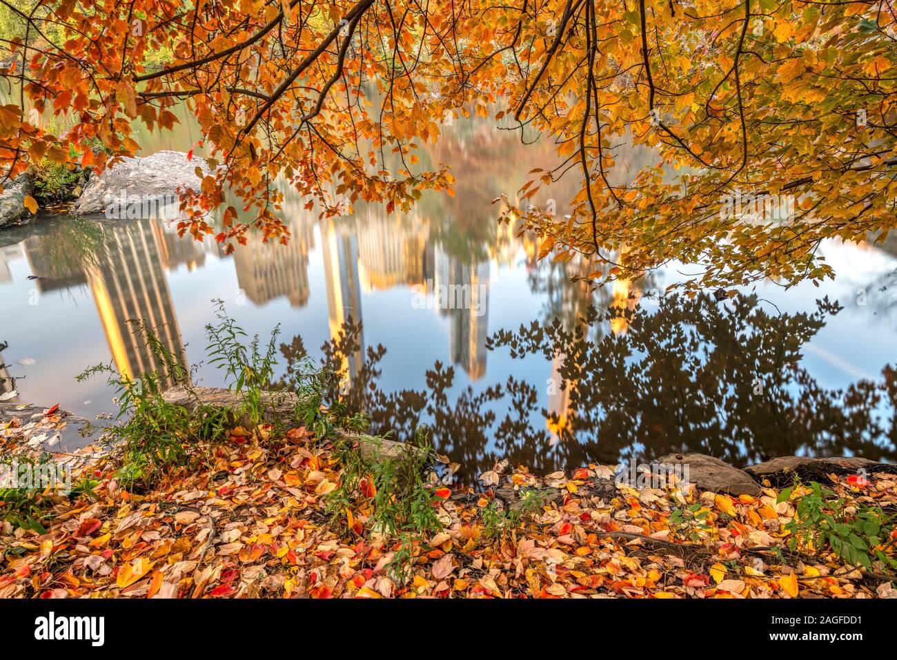 Caduta delle foglie, Central Park, Manhattan, New York, Stati Uniti d'America Foto Stock