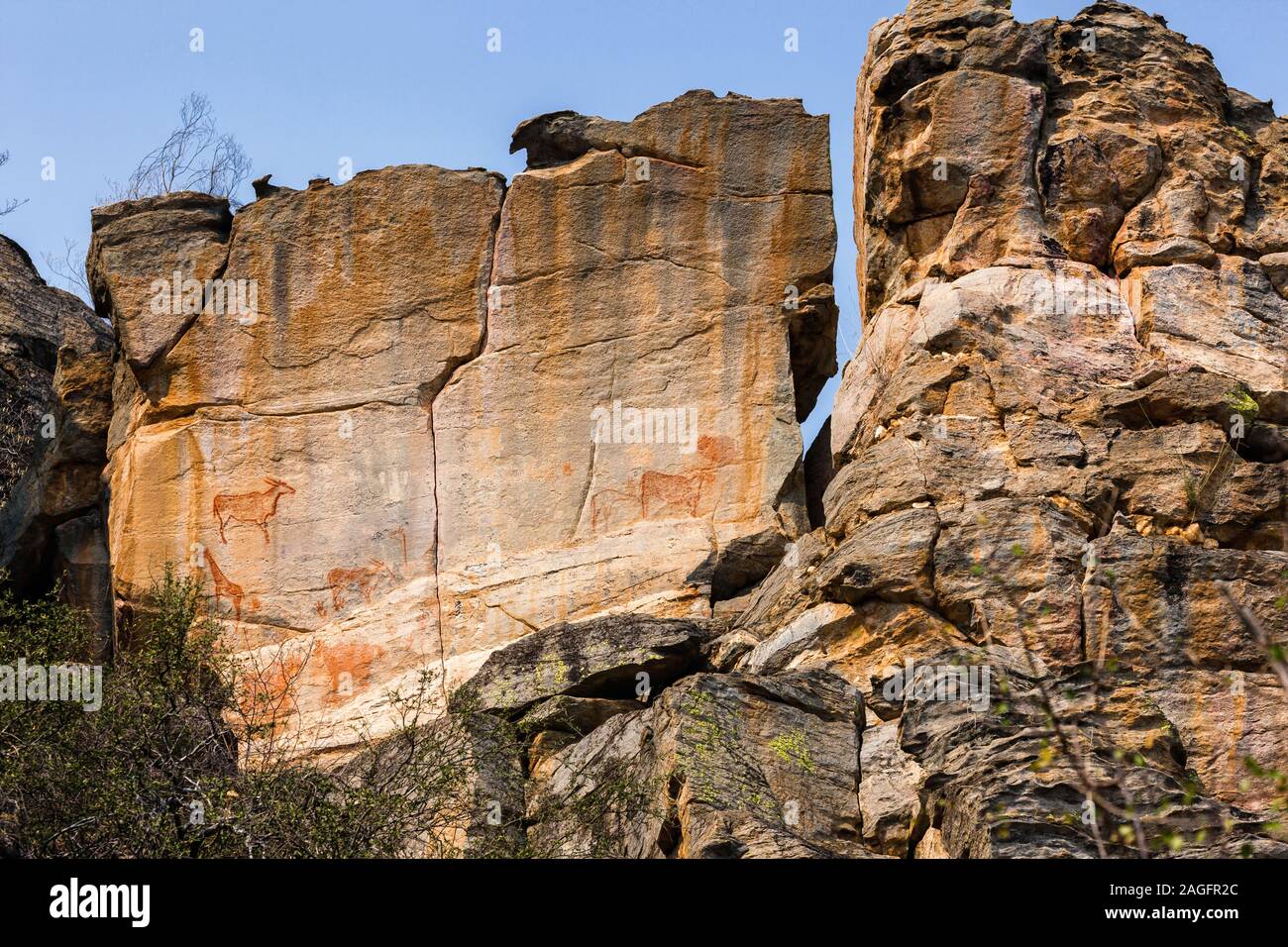 Colline di Tsodilo, pitture rupestri di animali, Louvre del deserto, colline isolate nel deserto di kalahari, Botswana, Africa Meridionale, Africa Foto Stock