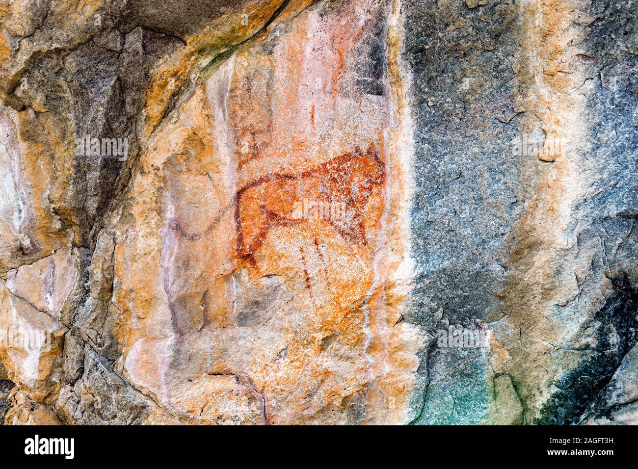 Colline di Tsodilo, pitture rupestri di leone, Louvre del deserto, colline isolate nel deserto di kalahari, Botswana, Africa Meridionale, Africa Foto Stock