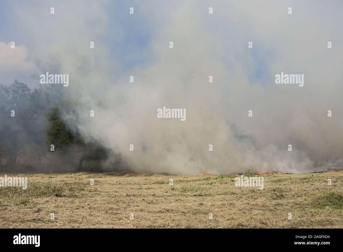 La masterizzazione di prato, fuoco, fumo Foto Stock