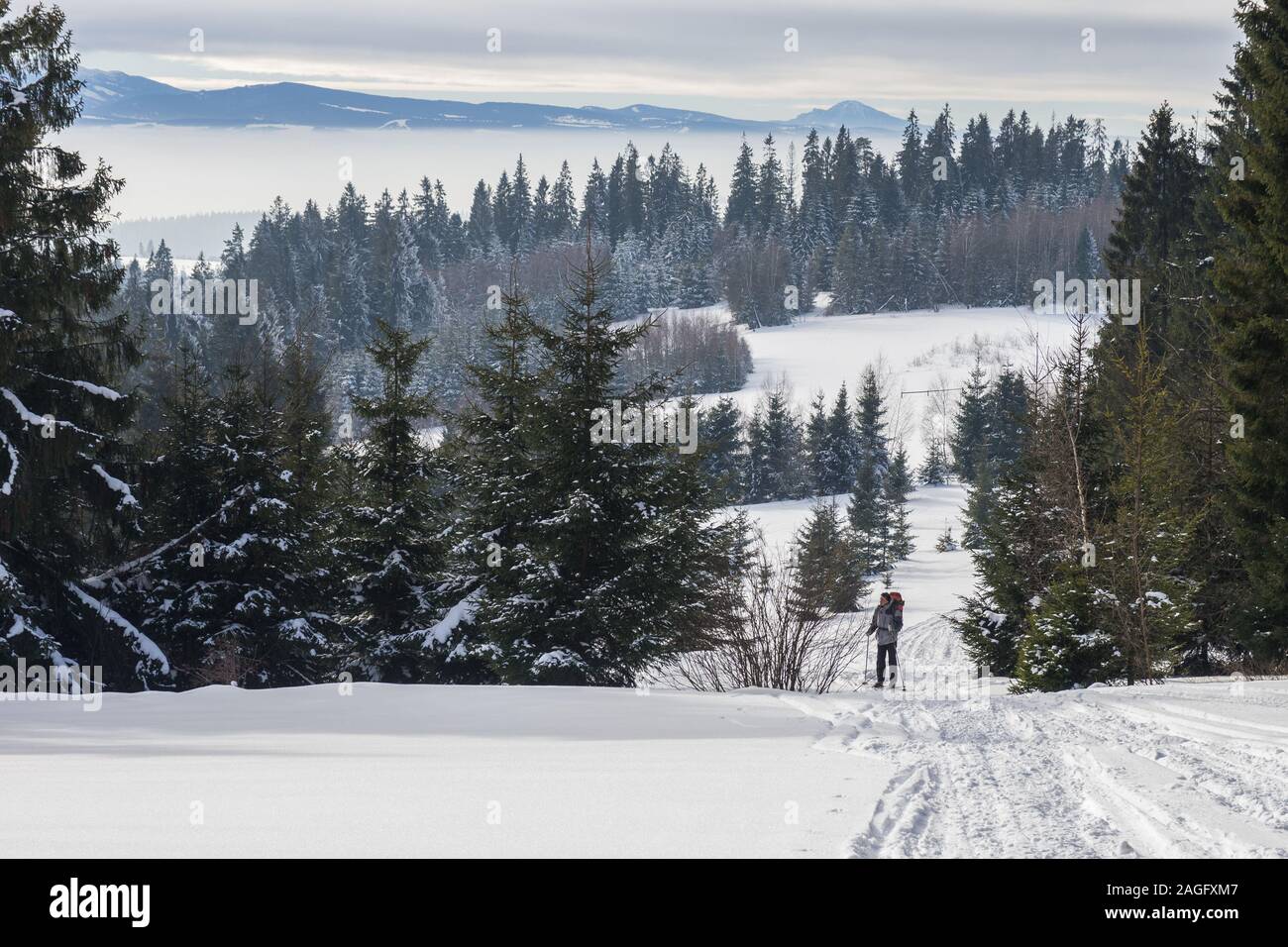 Coppia backcountry rider sul sentiero in Gorce montagne, Polonia Foto Stock