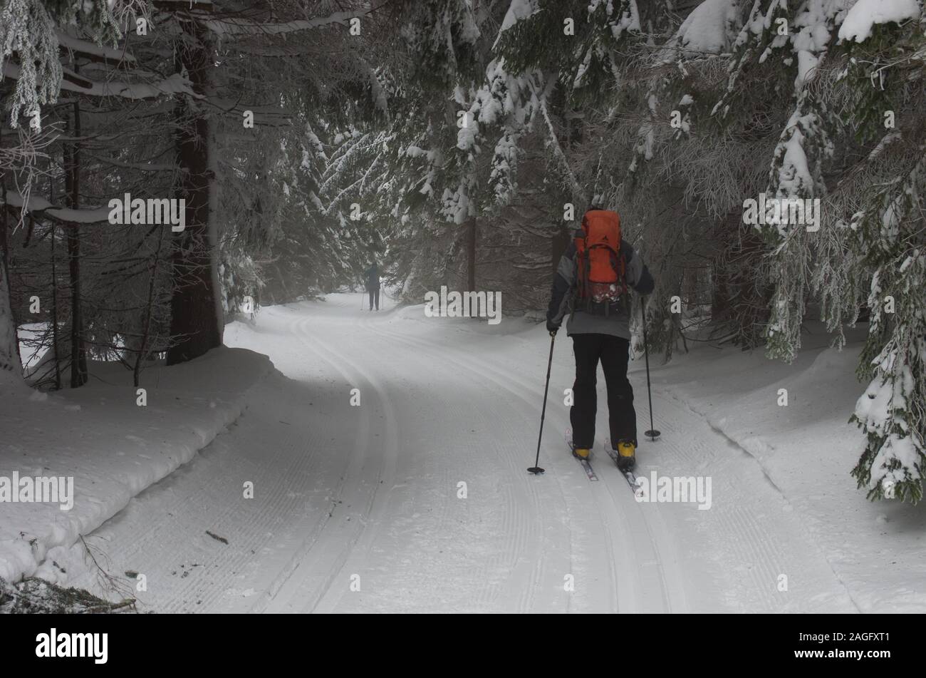 Coppia backcountry rider sul sentiero in Gorce montagne, Polonia Foto Stock