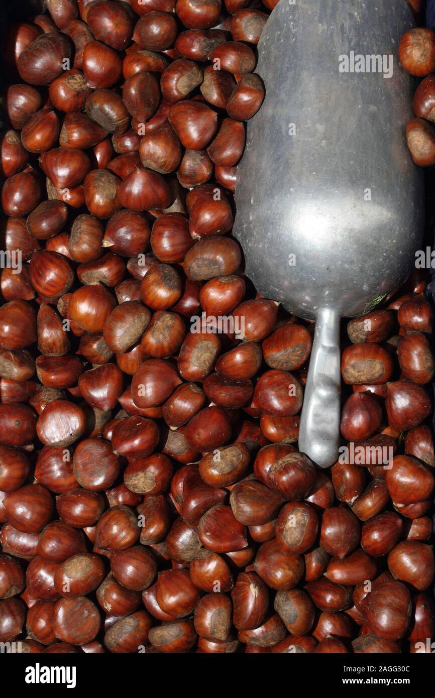 Le castagne in vendita sul negozio di alimentari della banca Foto Stock