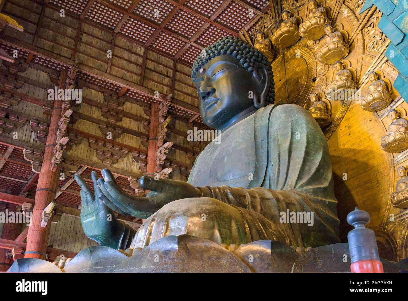 NARA, Giappone - 17 Maggio 2017: il Buddha Todaiji. È considerato il più grande del mondo statua in bronzo del Buddha Vairocana. Foto Stock