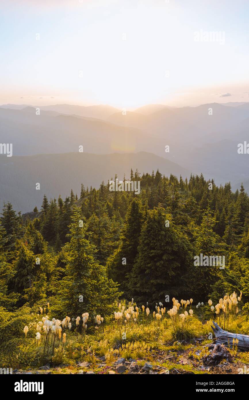 Tramonto, Kelly Butte Lookout Tower, Mt Rainier National Park, Washington, Stati Uniti d'America Foto Stock