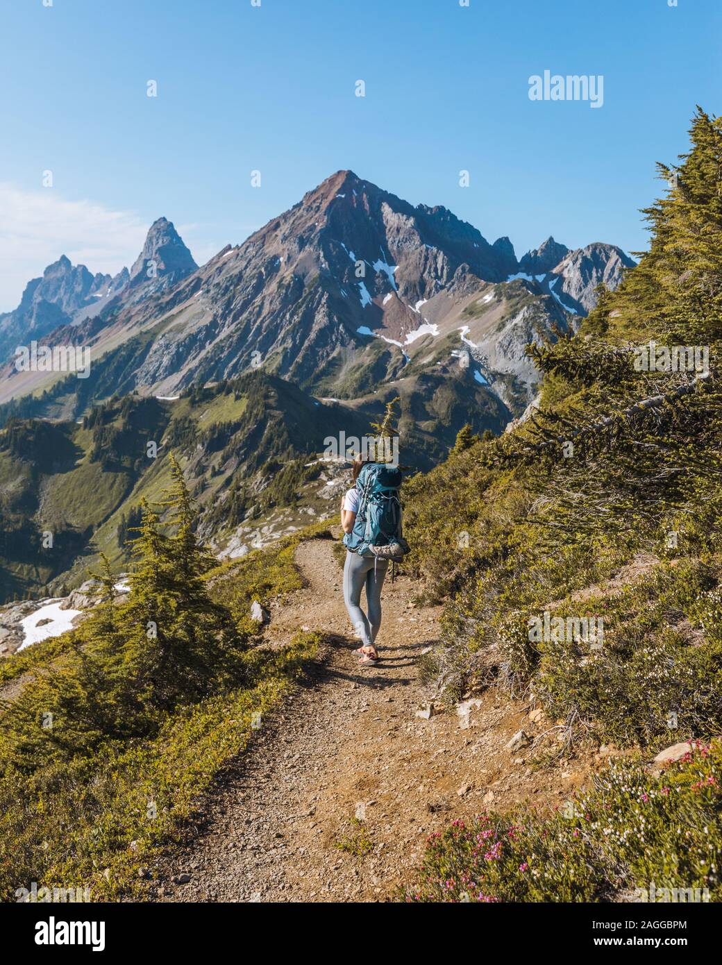 Escursionista femmina trekking, Winchester Mountain, North Cascades, Washington, Stati Uniti d'America Foto Stock