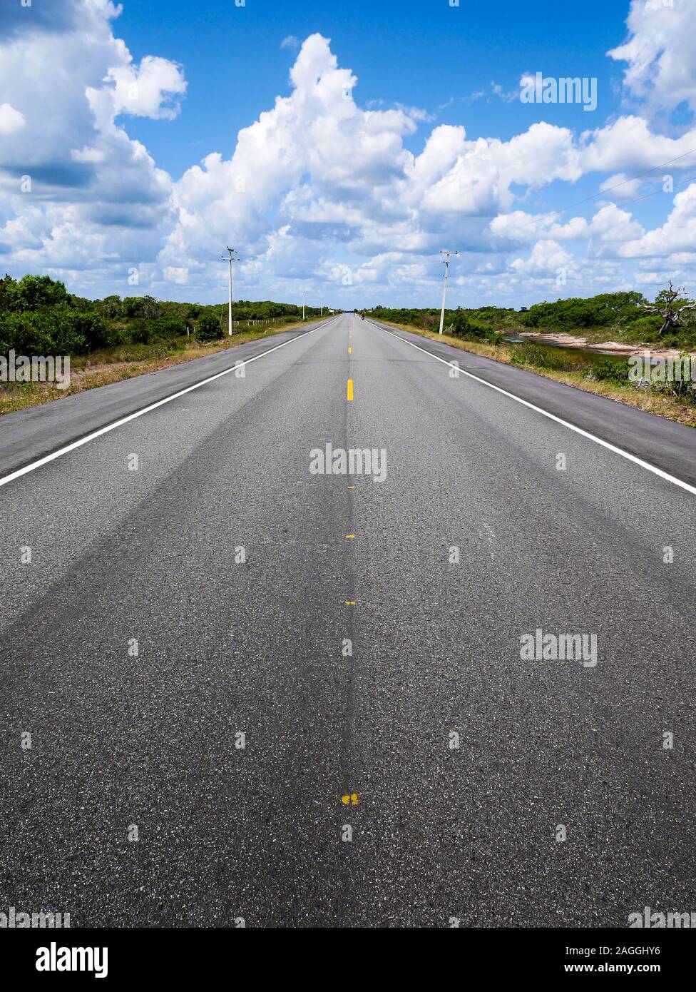 La strada aperta. La lunga e dritta strada rurale nella macchia del nord del Brasile. Foto Stock