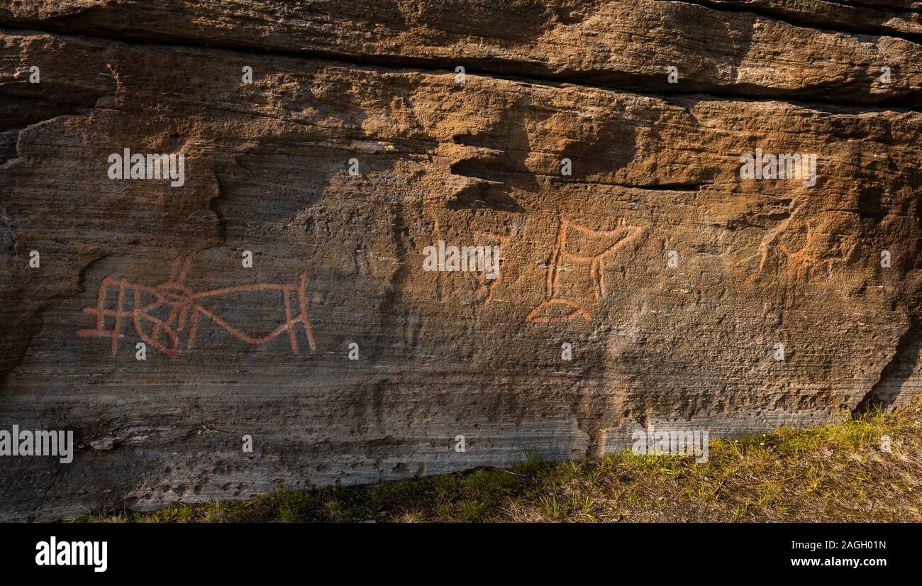 SKAVBERGET, KVALØYA ISALND, Troms County, Norvegia - Prehistoric incisioni rupestri, Helleristninger, Norvegia settentrionale. Foto Stock