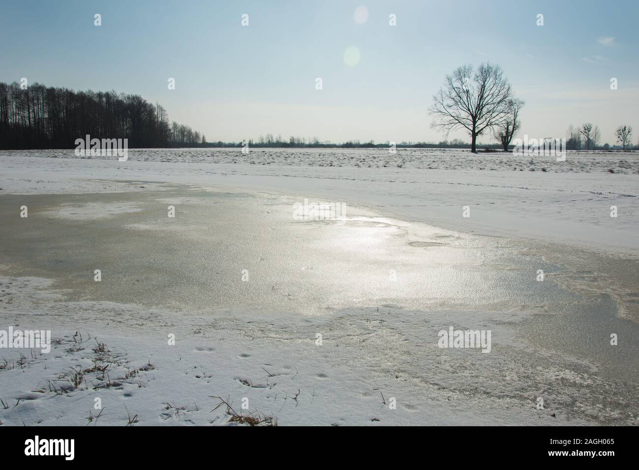 Acqua congelata e neve nel prato, alberi all'orizzonte e cielo senza nuvole - vista nella soleggiata giornata invernale Foto Stock