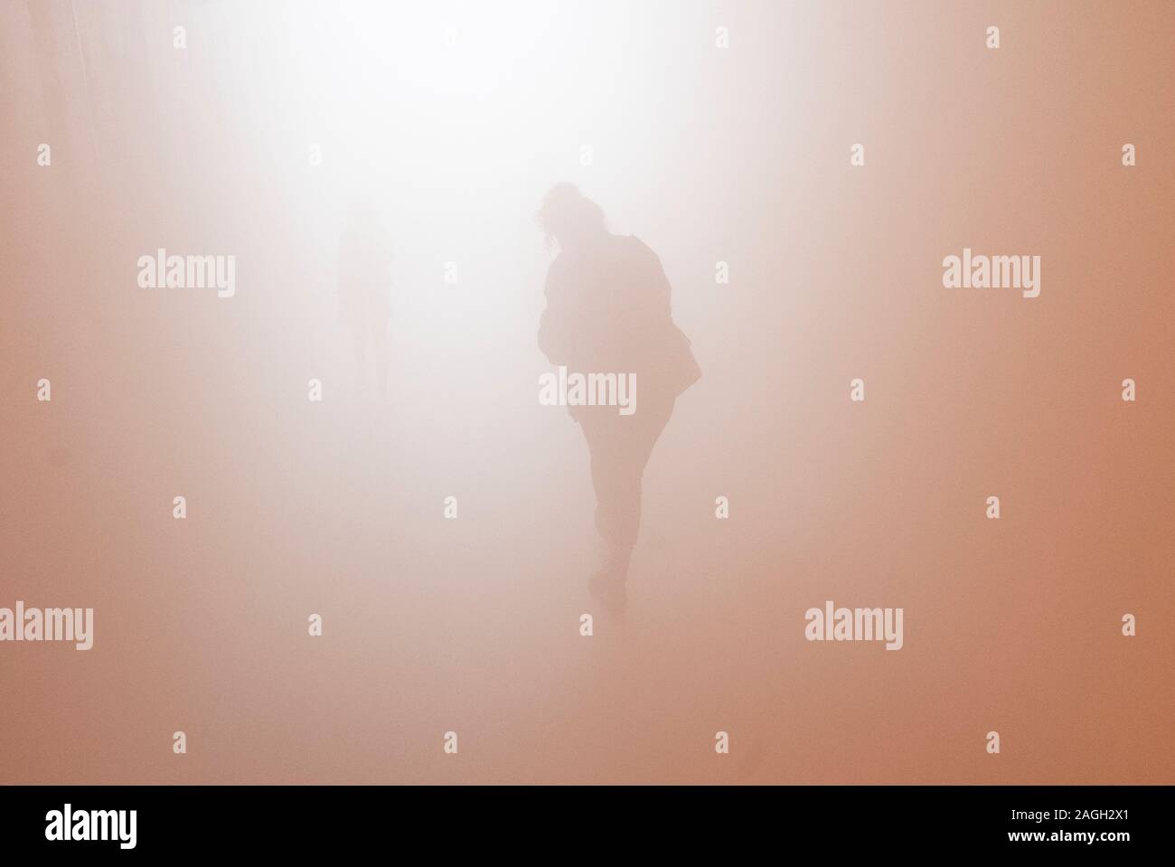 Gli amanti dell'arte alla Tate Modern prendere nel mostrare se sul soffitto o nella nebbia.L'Arte Moderna è fiorente Foto Stock