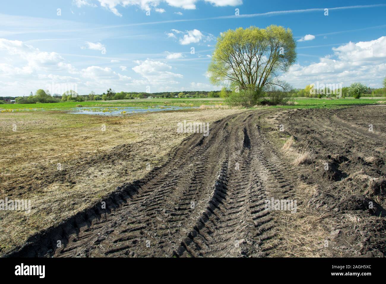 Il pneumatico del trattore le tracce in un campo, albero e nuvole bianche su un cielo blu - soleggiata giornata di primavera Foto Stock