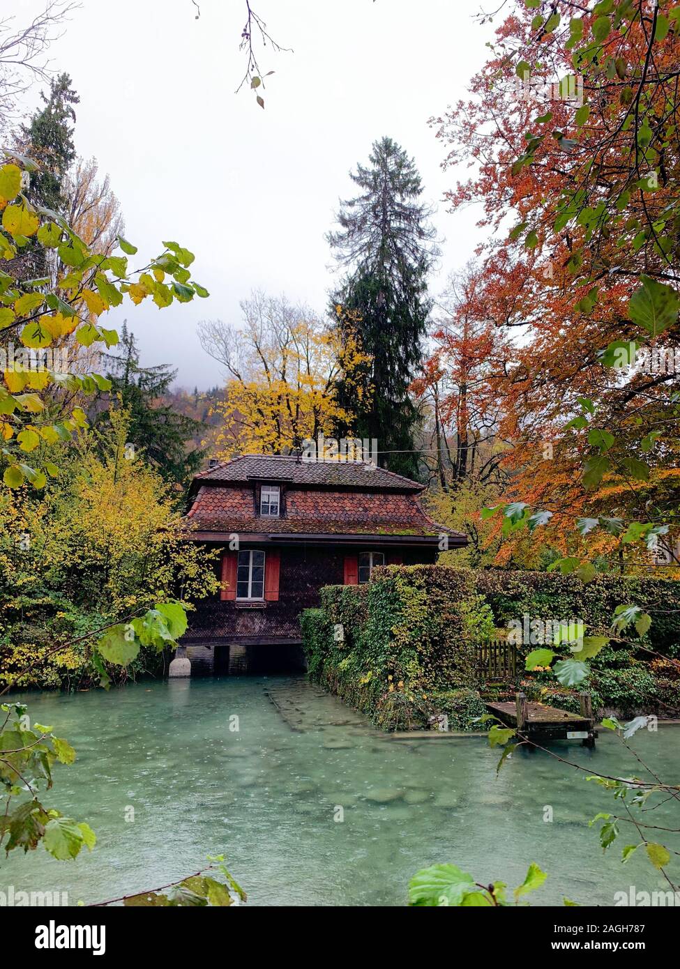 Blausee lago circondato da verde e edifici durante l'autunno in Svizzera Foto Stock