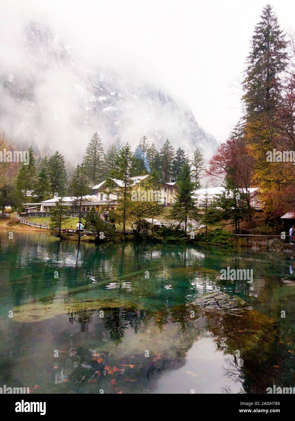 Lago Blausee circondato dal verde che si riflette sull'acqua coperta In nebbia in Svizzera Foto Stock