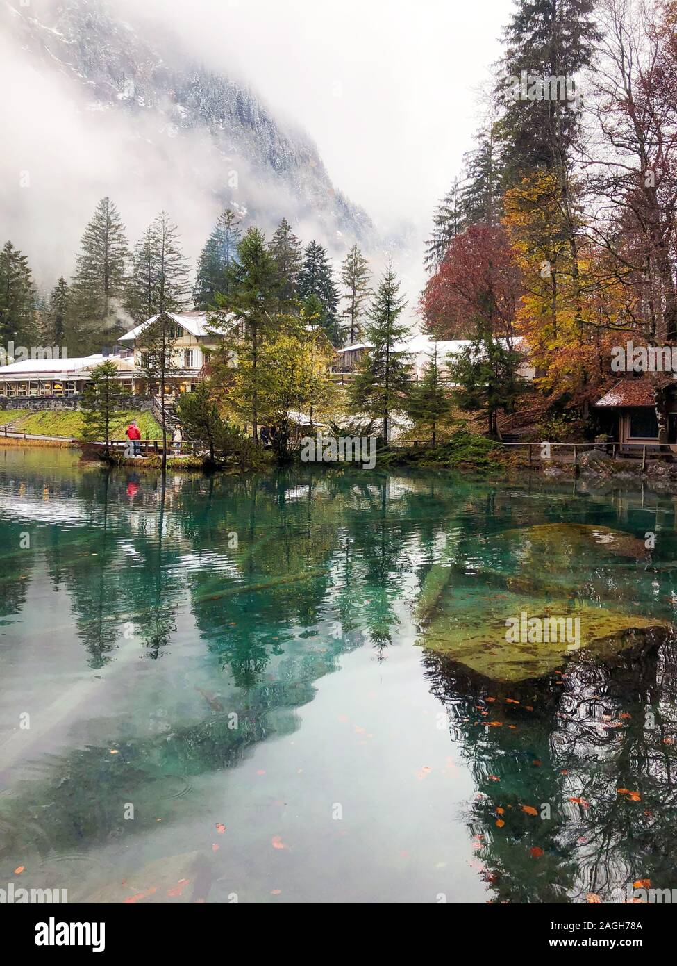 Lago Blausee circondato dal verde che si riflette sull'acqua coperta In nebbia in Svizzera Foto Stock