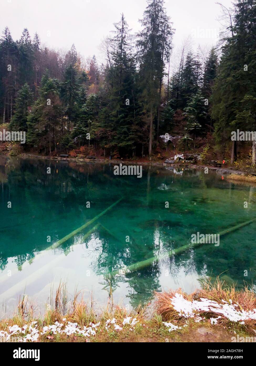 Lago Blausee circondato dal verde che si riflette sull'acqua coperta In nebbia in Svizzera Foto Stock