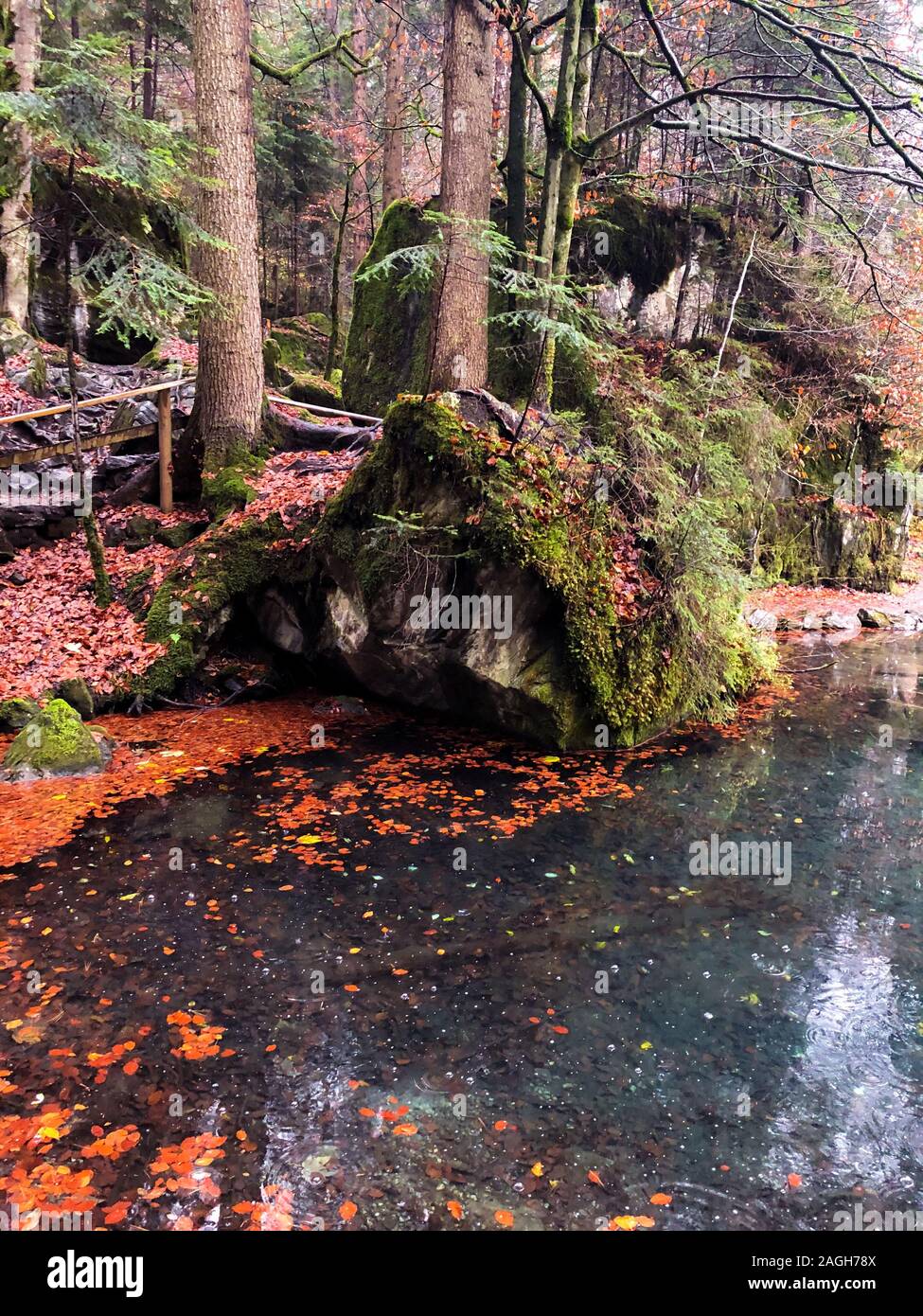 Lago Blausee circondato dal verde che si riflette sull'acqua coperta In nebbia in Svizzera Foto Stock