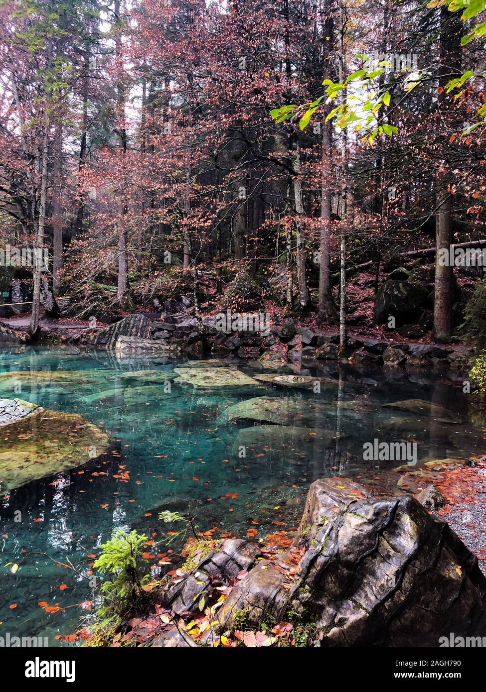 Lago Blausee circondato dal verde che si riflette sull'acqua coperta In nebbia in Svizzera Foto Stock