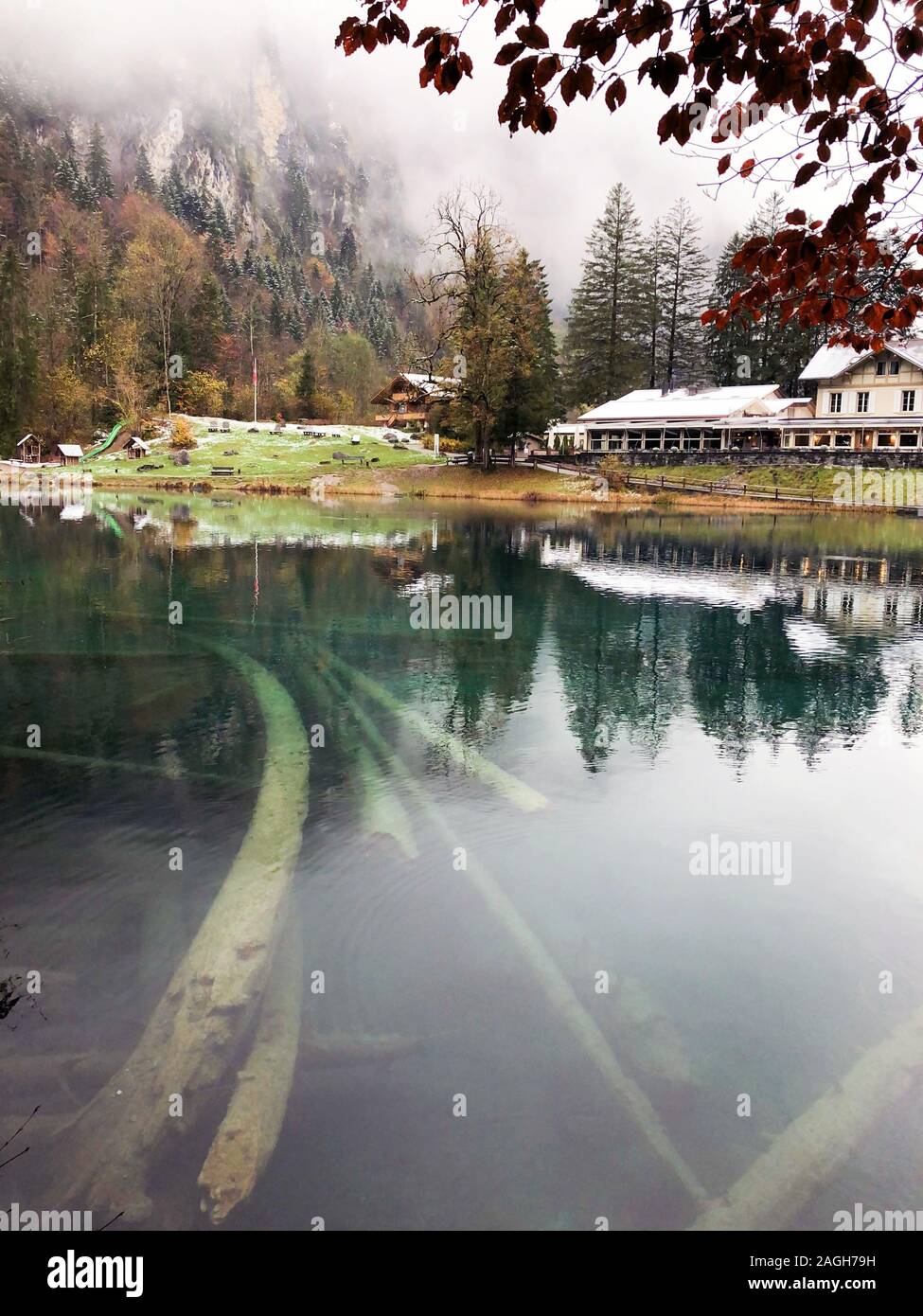 Lago Blausee circondato dal verde che si riflette sull'acqua coperta In nebbia in Svizzera Foto Stock