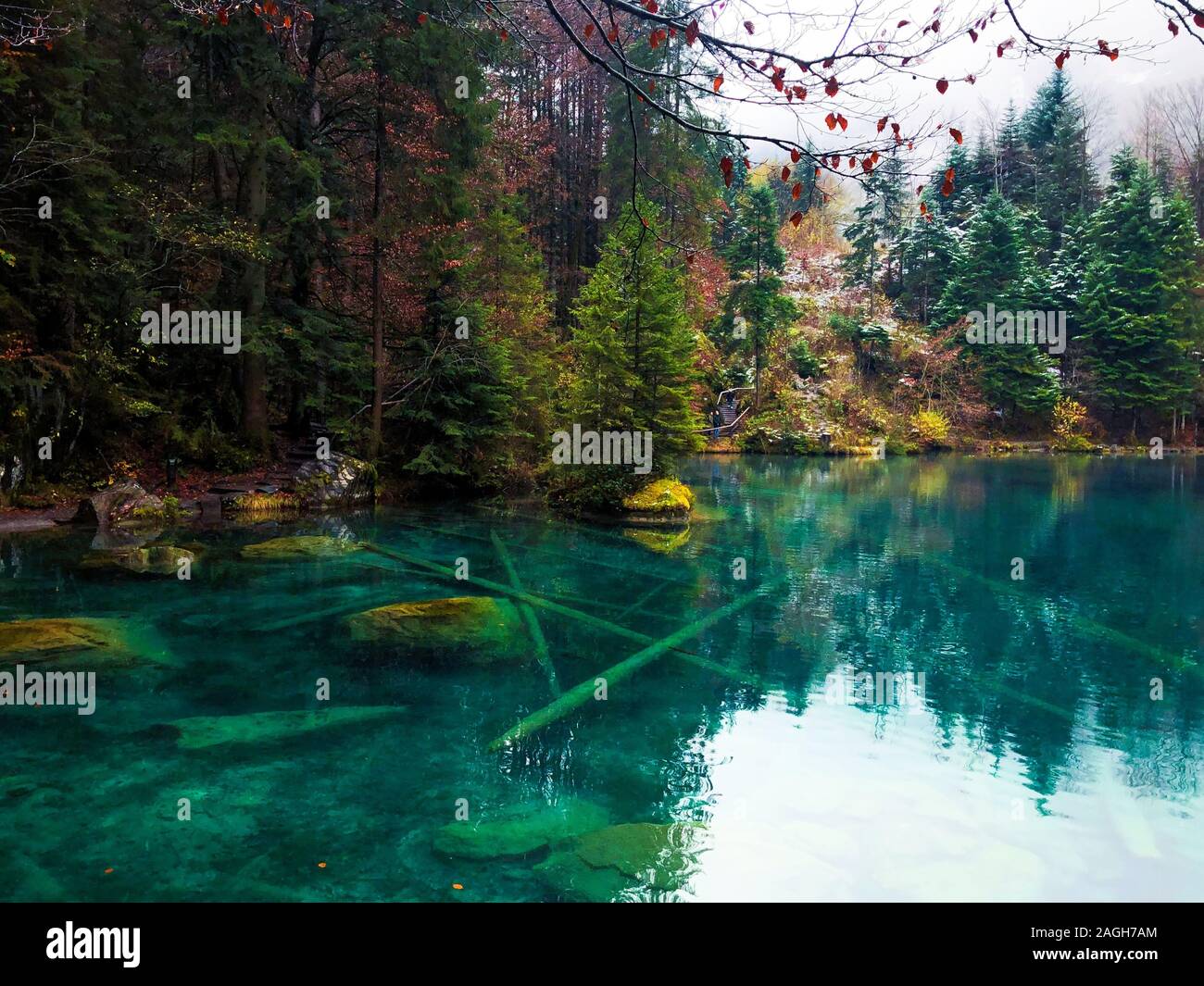 Lago Blausee circondato da verde che si riflette sull'acqua in Svizzera Foto Stock