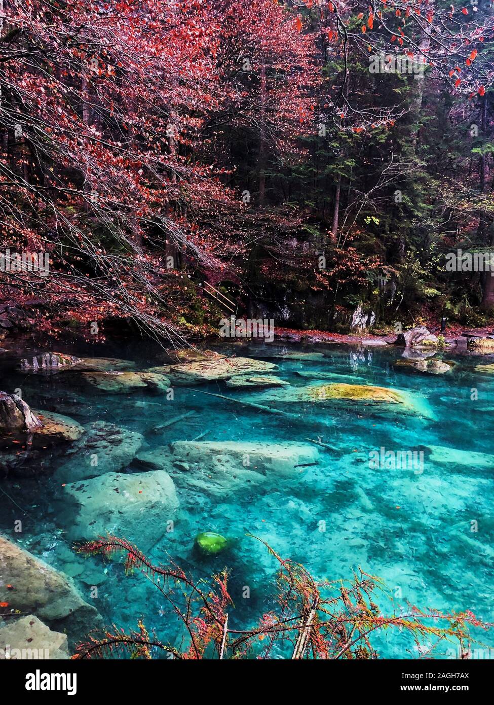 Lago Blausee circondato da verde che si riflette sull'acqua in Svizzera Foto Stock