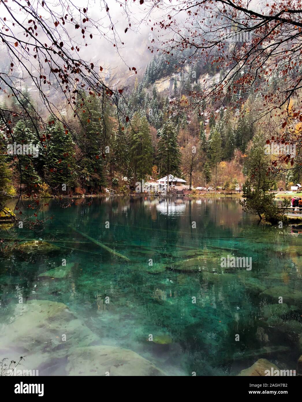 Lago Blausee circondato da verde che si riflette sull'acqua in Svizzera Foto Stock